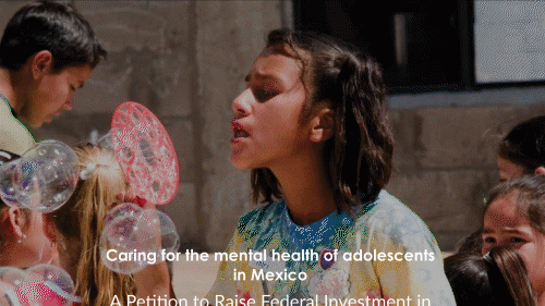Animation of Mental Health in Mexico research